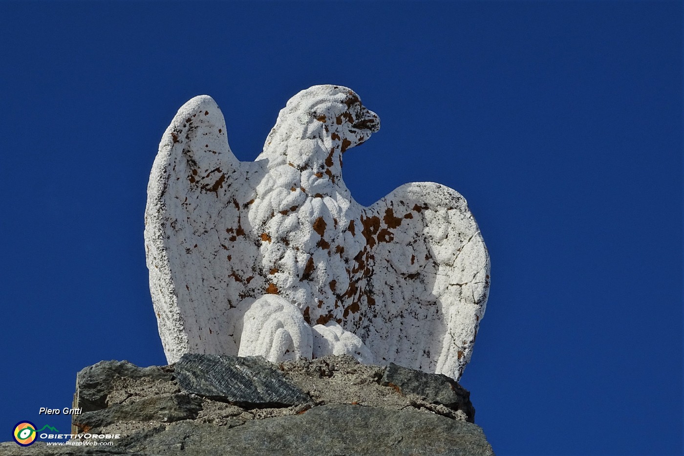 75 L'aquila del Passo San Marco (1992 m).JPG